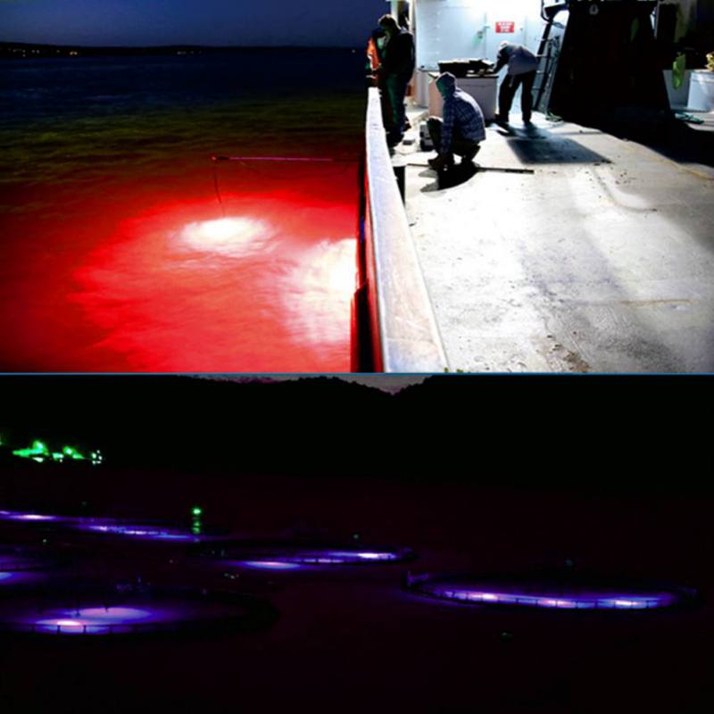 Umpan pancing Mini, lampu pert - Fishing Boat Navigation Light ulasan dan harga